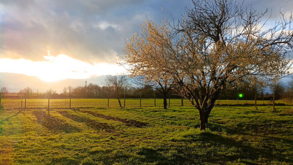 Les-jardins-de-pierre_jardin